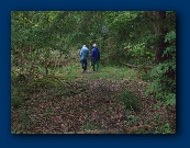 I'm not sure it's loud enough to go on from here, Bob